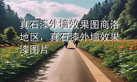 真石漆外墻效果圖商洛地區(qū)，真石漆外墻效果漆圖片