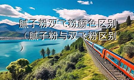 膩?zhàn)臃垭p飛粉顏色區(qū)別（膩?zhàn)臃叟c雙飛粉區(qū)別）