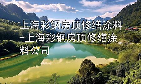 上海彩鋼房頂修繕涂料-上海彩鋼房頂修繕涂料公司