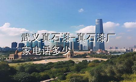 武義真石漆-真石漆廠家電話多少