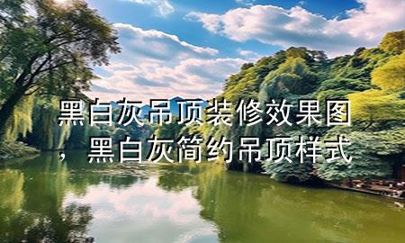 黑白灰吊頂裝修效果圖，黑白灰簡約吊頂樣式