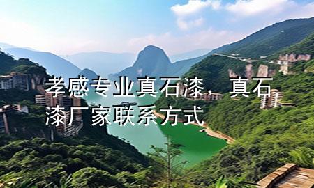 孝感專業(yè)真石漆，真石漆廠家聯(lián)系方式