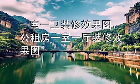 一室一衛(wèi)裝修效果圖，公租房一室一廳裝修效果圖