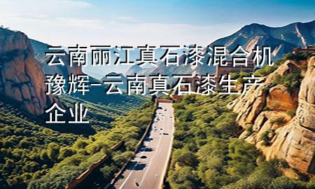云南麗江真石漆混合機(jī)豫輝-云南真石漆生產(chǎn)企業(yè)