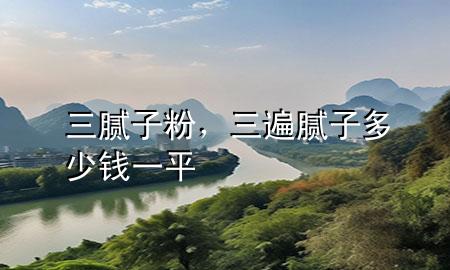 三膩子粉，三遍膩子多少錢一平