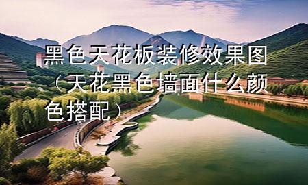 黑色天花板裝修效果圖（天花黑色墻面什么顏色搭配）