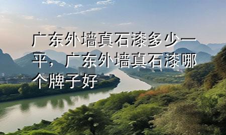 廣東外墻真石漆多少一平，廣東外墻真石漆哪個牌子好
