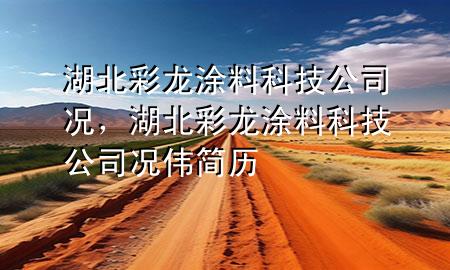 湖北彩龍涂料科技公司 況，湖北彩龍涂料科技公司 況偉簡歷