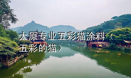 太原專業(yè)五彩貓涂料（五彩的貓）