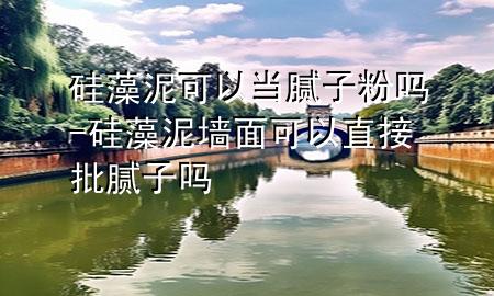 硅藻泥可以當(dāng)膩?zhàn)臃蹎?硅藻泥墻面可以直接批膩?zhàn)訂?>
             </div>
             <!--文章無(wú)圖的情況下插入一張圖片end-->
              
      <p>本篇文章給大家談?wù)劰柙迥嗫梢援?dāng)膩?zhàn)臃蹎?，以及硅藻泥墻面可以直接批膩?zhàn)訂釋?duì)應(yīng)的知識(shí)點(diǎn)，希望對(duì)各位有所幫助，不要忘了收***本站喔。
今天給各位分享硅藻泥可以當(dāng)膩?zhàn)臃蹎岬闹R(shí)，其中也會(huì)對(duì)硅藻泥墻面可以直接批膩?zhàn)訂徇M(jìn)行解釋，如果能碰巧解決***現(xiàn)在面臨的問(wèn)題，別忘了關(guān)注本站，現(xiàn)在開(kāi)始吧！</p><ol type=