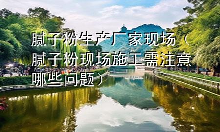 膩子粉生產(chǎn)廠家現(xiàn)場（膩子粉現(xiàn)場施工需注意哪些問題）