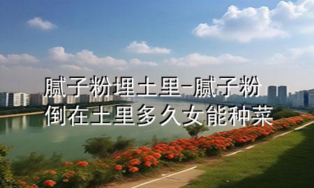 膩?zhàn)臃勐裢晾?膩?zhàn)臃鄣乖谕晾锒嗑门芊N菜