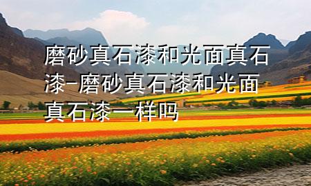 磨砂真石漆和光面真石漆-磨砂真石漆和光面真石漆一樣嗎
