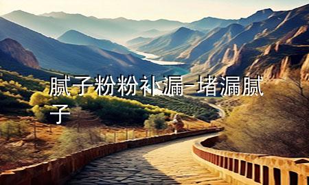 膩子粉粉補漏-堵漏膩子