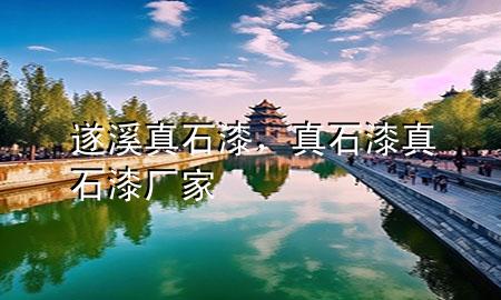 遂溪真石漆，真石漆真石漆廠家