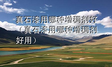 真石漆用哪種增稠劑好（真石漆用哪種增稠劑好用）