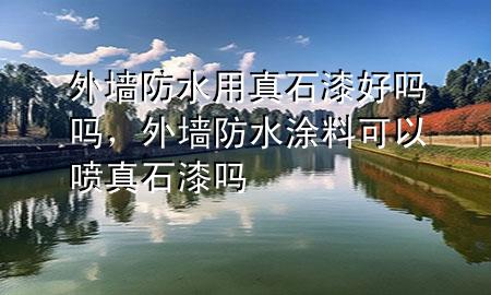 外墻防水用真石漆好嗎嗎，外墻防水涂料可以噴真石漆嗎