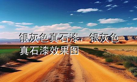 銀灰色真石漆，銀灰色真石漆效果圖