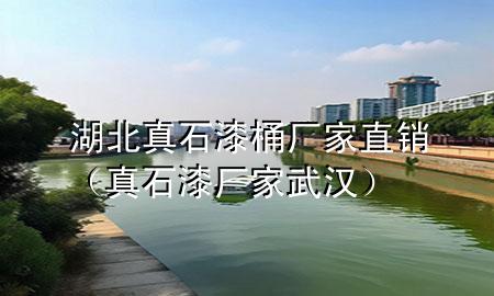 湖北真石漆桶廠家直銷（真石漆廠家武漢）