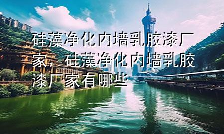 硅藻凈化內(nèi)墻乳膠漆廠家，硅藻凈化內(nèi)墻乳膠漆廠家有哪些