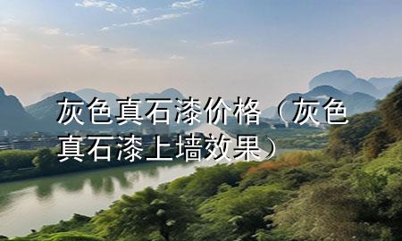 灰色真石漆價格（灰色真石漆上墻效果）