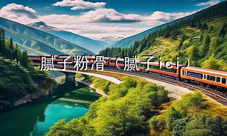 膩子粉滑（膩子ici）