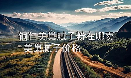 銅仁美巢膩子粉在哪賣-美巢膩子價格