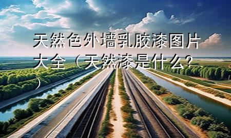 天然色外墻乳膠漆圖片大全（天然漆是什么?）