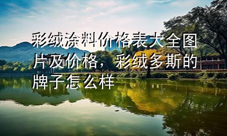彩絨涂料價(jià)格表大全圖片及價(jià)格，彩絨多斯的牌子怎么樣