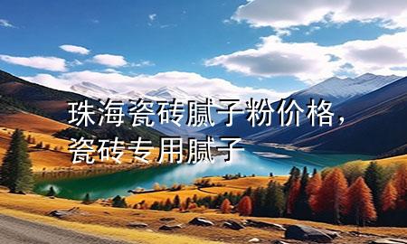 珠海瓷磚膩子粉價格，瓷磚專用膩子