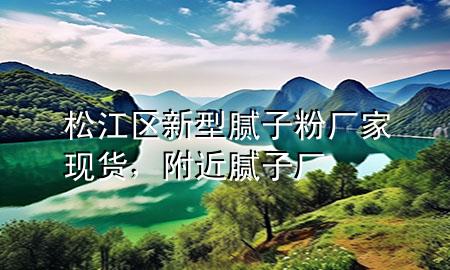 松江區(qū)新型膩子粉廠家現(xiàn)貨，附近膩子廠