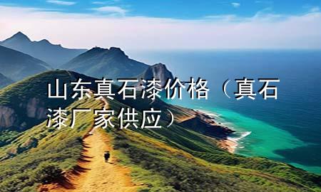 山東真石漆價格（真石漆廠家供應(yīng)）