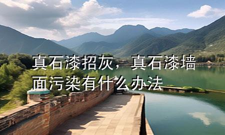 真石漆招灰，真石漆墻面污染有什么辦法