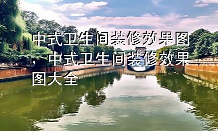 中式衛(wèi)生間裝修效果圖，中式衛(wèi)生間裝修效果圖大全