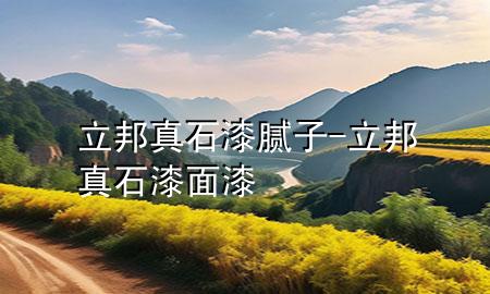 立邦真石漆膩子-立邦真石漆面漆