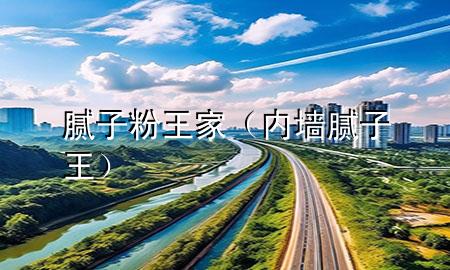 膩子粉王家（內(nèi)墻膩子王）