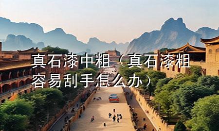 真石漆中粗（真石漆粗容易刮手怎么辦）