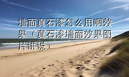墻面真石漆怎么用啊效果（真石漆墻面效果圖片講說）