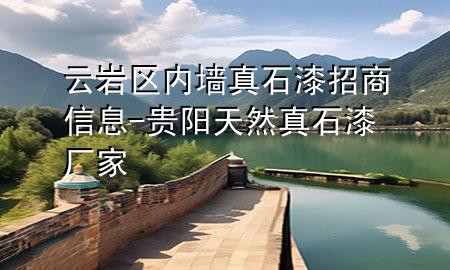 云巖區(qū)內(nèi)墻真石漆招商信息-貴陽(yáng)天然真石漆廠家