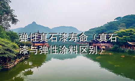 彈性真石漆壽命（真石漆與彈性涂料區(qū)別）