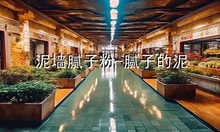 泥墻膩子粉-膩子的泥