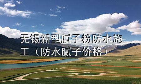 無錫新型膩子粉防水施工（防水膩子價格）