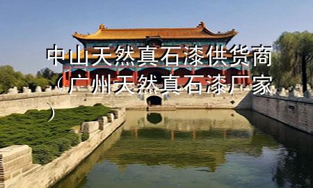 中山天然真石漆供貨商（廣州天然真石漆廠家）