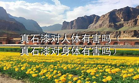 真石漆對人體有害嗎（真石漆對身體有害嗎）