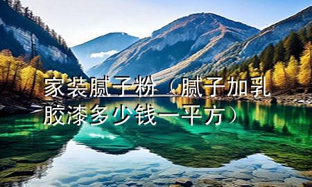 家裝膩?zhàn)臃郏佔(zhàn)蛹尤槟z漆多少錢一平方）