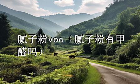 膩子粉 voc（膩子粉有甲醛嗎）