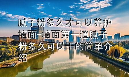膩?zhàn)臃鄱嗑貌趴梢责B(yǎng)護(hù)墻面-墻面第一道膩?zhàn)臃鄱嗑每梢愿傻暮?jiǎn)單介紹