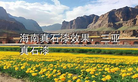 海南真石漆效果，三亞真石漆