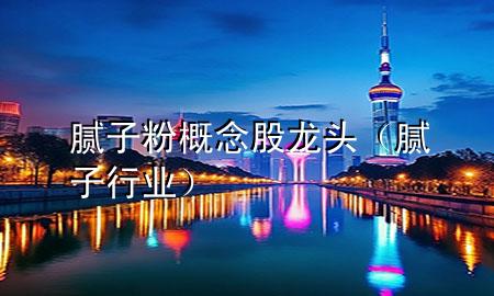 膩子粉概念股龍頭（膩子行業(yè)）