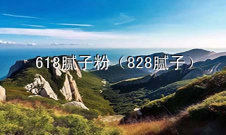 618膩子粉（828膩子）